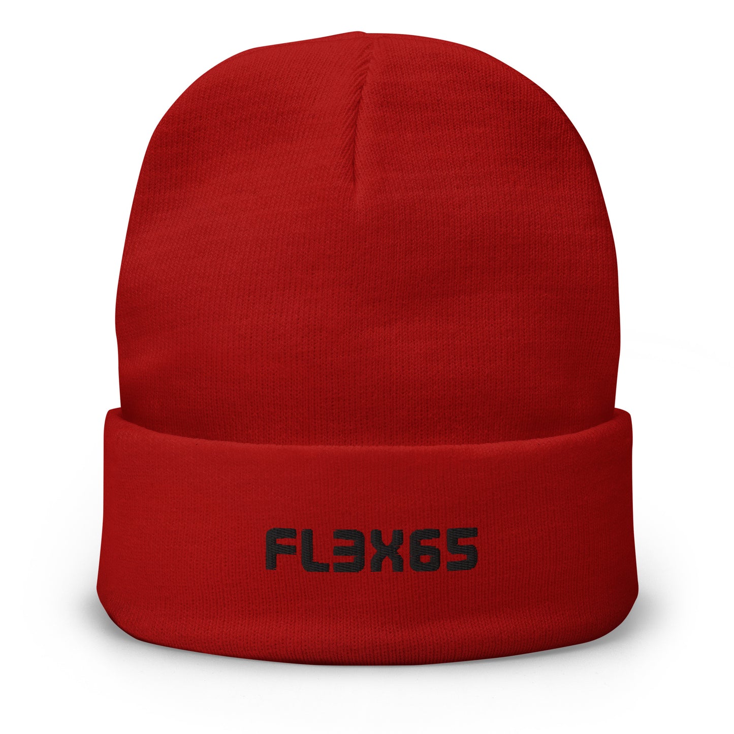 210 Logo Beanie